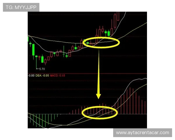 基米希本赛季传球成功率保持高位，表现稳健
