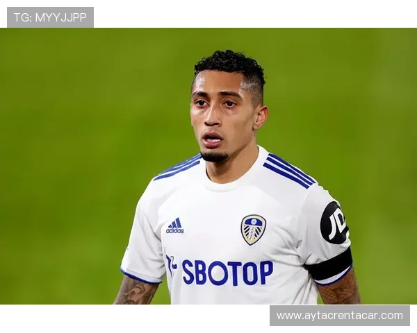 拉菲尼亚与萨卡:核心地位及体系角色对比分析 拉菲尼亚与萨卡:核心地位及体系角色对比分析