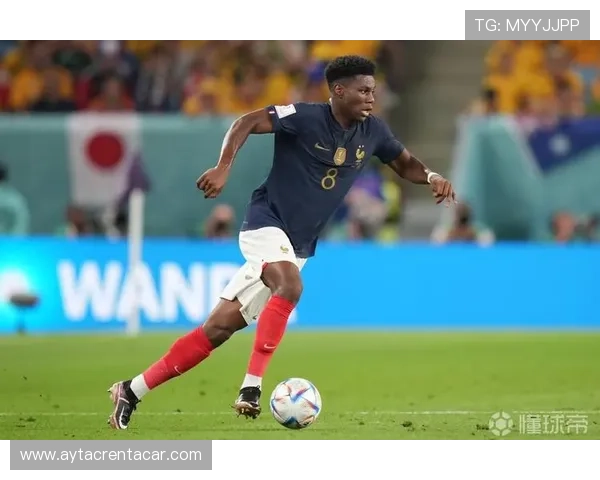 楚阿梅尼与罗德里：防守型中场模板对比分析